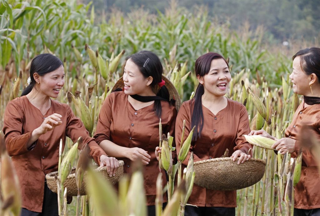 Tiếng Việt Nam Bộ