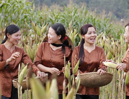 Tiếng Việt Nam Bộ
