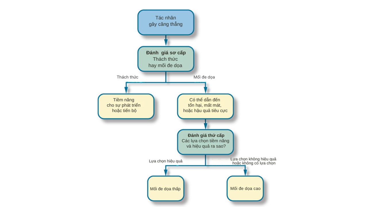 appraisals-stress-flow