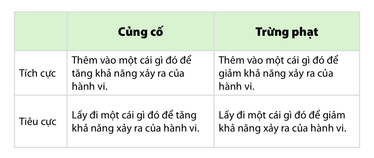 Positive and Negative Reinforcement and Punishment