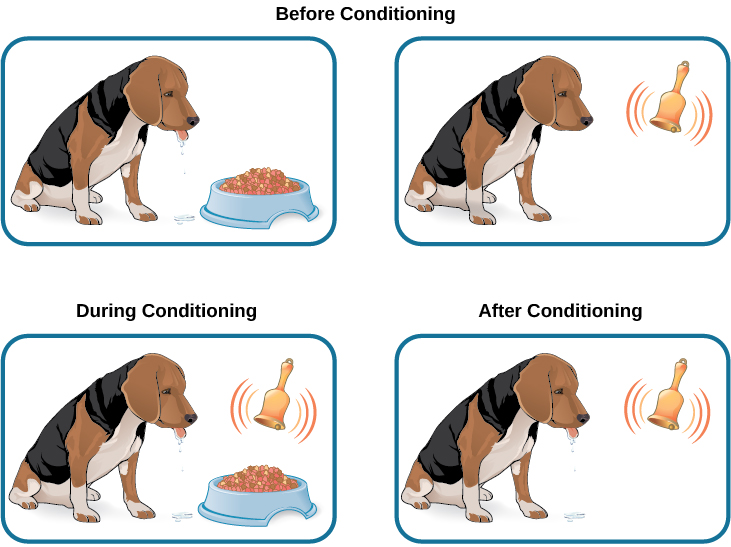 conditioned-response