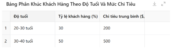 bang-phan-tich-chan-dung-khach-hang-theo-do-tuoi-va-muc-chi-tieu