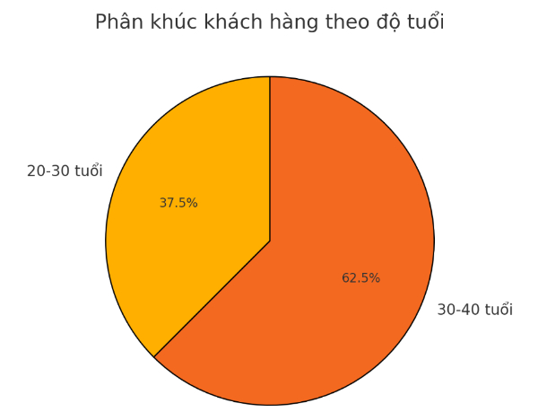 phan-tich-chan-dung-khach-hang-theo-do-tuoi