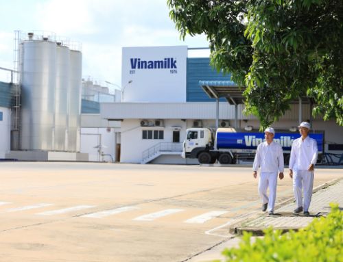 Mô hình văn hoá doanh nghiệp Vinamilk khi chuyển đổi số