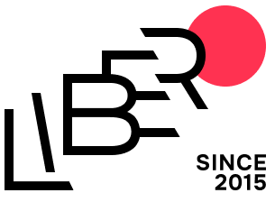 Libero Ventures Group Logo